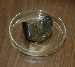 An early fragment of waterlogged bottle gourd rind from a freshwater spring in Florida.